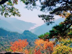 -五女峰国家森林公园