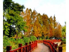-金银湖国家城市湿地公园