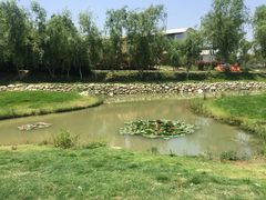 -武汉紫薇都市田园