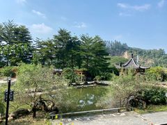 -广州神农草堂中医药博物馆