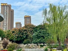 -金陵中学(河西分校)