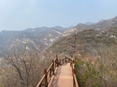 -大岭沟猕猴桃谷风景区