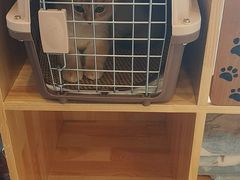 -纳吉亚猫专科动物医院博雅分院