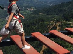 -梦幻奥陶纪景区