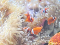 -多彩贵州城极地海洋世界