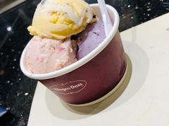 哈根达斯-大渔铁板烧(万象城店)