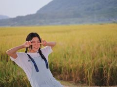 -艾米稻香小镇