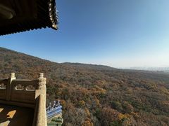 -灵谷景区