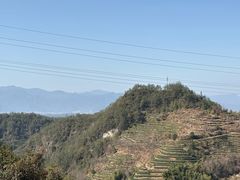 -杨家堂村