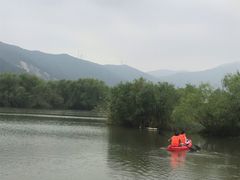 -长兴太湖图影湿地文化园