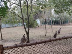 -宁波野生动物园