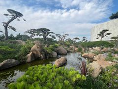 -罗红摄影艺术馆