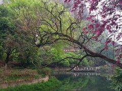 -南溪山景区