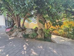 -迎江寺