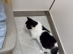 -中农国际动物医院24小时·猫科·骨科·急重症中心