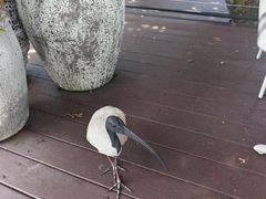 -可伦宾野生动物保护区