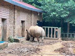 -郑州市动物园