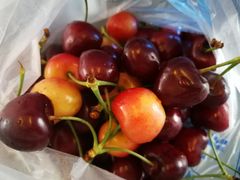 -金凤成祥(五棵松二店)