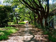 -上海佘山国家森林公园天马山园