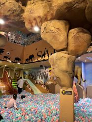 -卡通尼·Safari非洲探索乐园·生日会(金桥国际商业广场店)