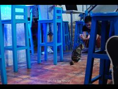 34-Sirena海妖日咖夜酒