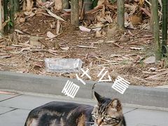 -成都市文化公园