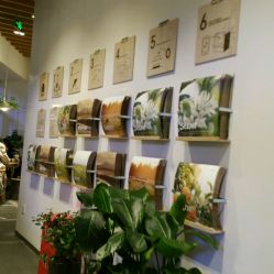 -悦诗风吟innisfree