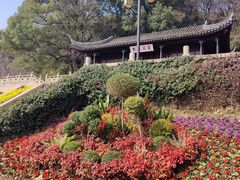 -苏州上方山国家森林公园