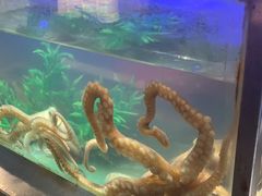 -V-ONE西雅图海鲜自助餐厅(仓山万达广场店)