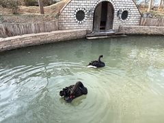 -南宫五洲植物乐园