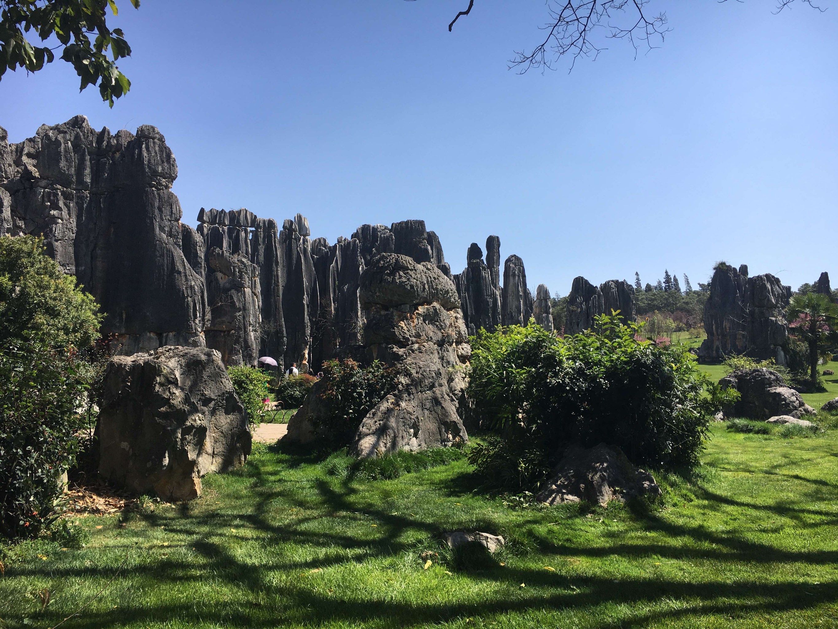 探索大自然的奇观——云南石林风景区
