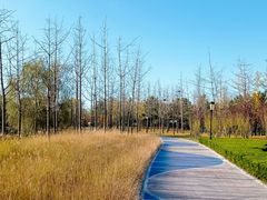 -羊亭河湿地公园