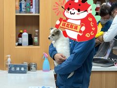 -联合动物医院(光谷诊疗中心)