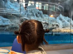 -帝企鹅自助餐厅•儿童岛•真企鹅(长隆企鹅酒店)