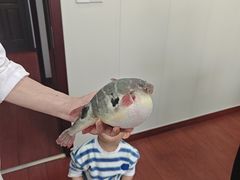 -长顺河豚馆(江洲东路)