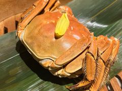 -成隆行·蟹王府(九江路店)