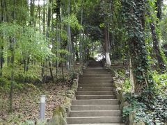-上海市保健医疗中心(华东疗养院)