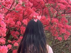-木兰云雾山