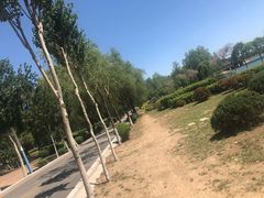 -丁香湖公园
