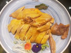 白斩鸡-新南华大酒店(长寿店)