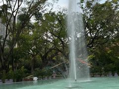 -九龙公园