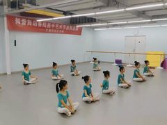 -舞蕾舞蹈·专注中国舞18年(天通苑中心校区)