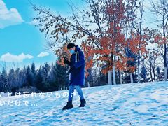 -长春世界雕塑园冰雪艺术天地