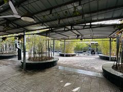 -清凉寺