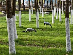 -艾溪湖湿地公园