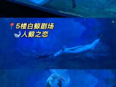-郑州海洋馆