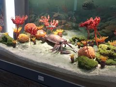 -浙江自然博物院(杭州馆)