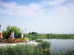 -东丽湖风景区