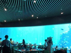 大堂-海棠湾洲际-涛·海底餐厅·美人鱼·自助餐·海底隧道