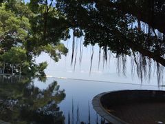 -大埔公路-马料水段香港中文大学(公交站)